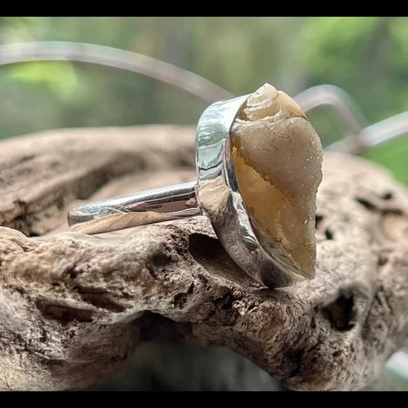 Incredible Natural Spiralite Fossil Druzy GemShell Ring | sz 10.25 - Picture 4 of 13